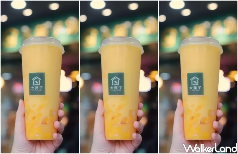 大苑子51勞動節優惠 / WalkerLand窩客島整理提供 未經許可，不得轉載