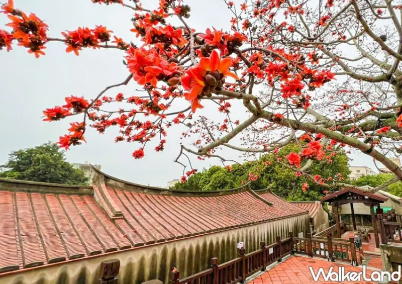 金門景點旅遊 / WalkerLand窩客島整理提供 未經許可不可轉載