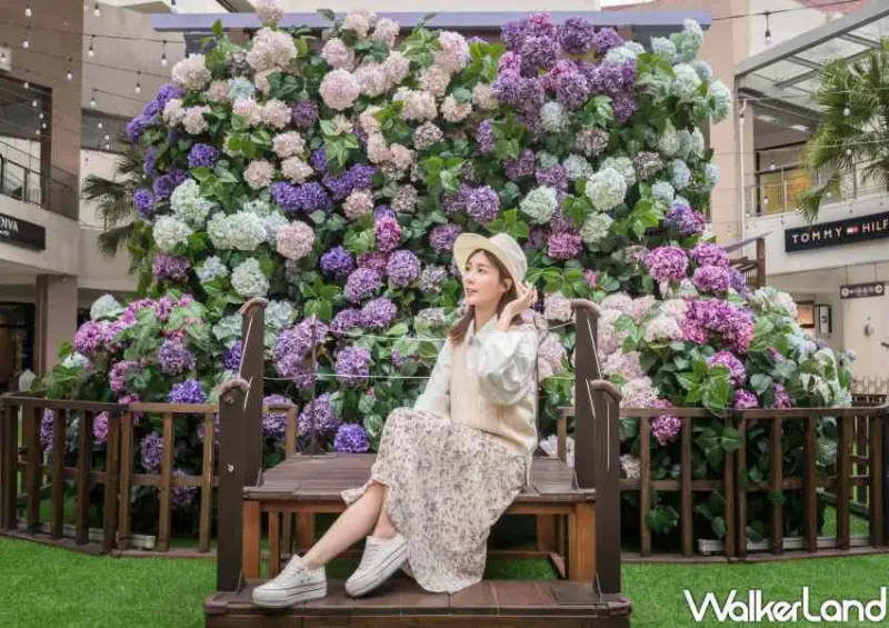 林口三井OUTLET「繡球花」 / WalkerLand窩客島整理提供 未經許可不可轉載