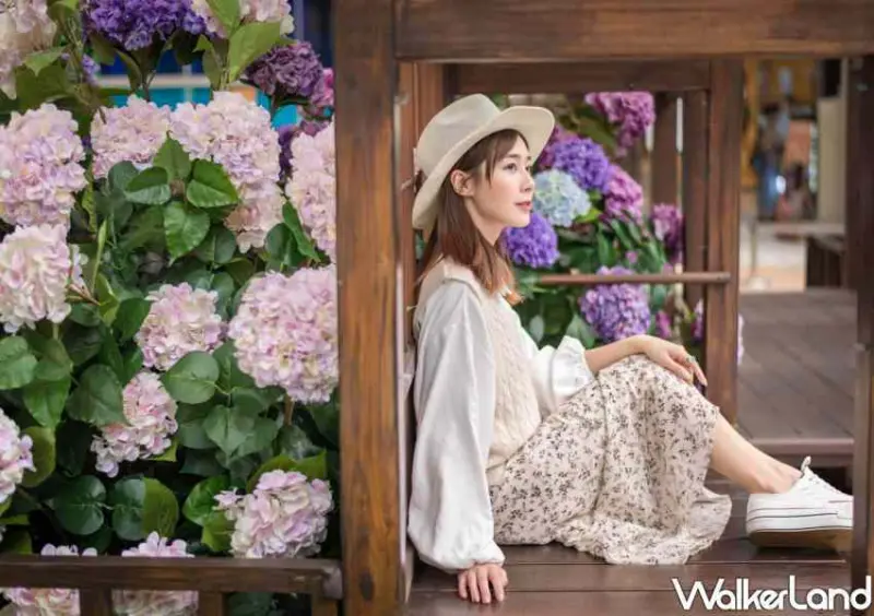 林口三井OUTLET「繡球花」 / WalkerLand窩客島整理提供 未經許可不可轉載