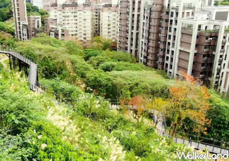 台北景點「文山森林公園」 / WalkerLand窩客島整理提供 未經許可不可轉載