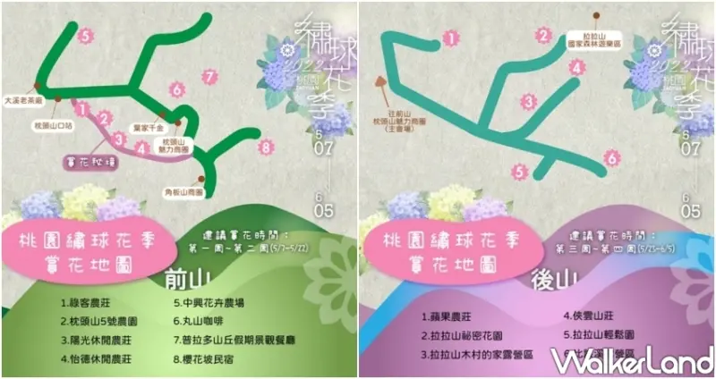 2022桃園繡球花季 / WalkerLand窩客島整理提供 未經許可不可轉載