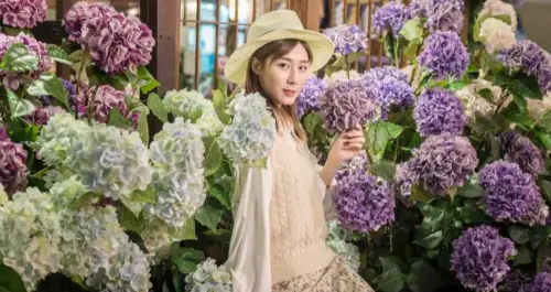 林口竟然也有繡球花！林口人隱藏版「繡球花牆」免費拍IG網美照，全新限定「繡球花神社」就在林口三井OUTLET。