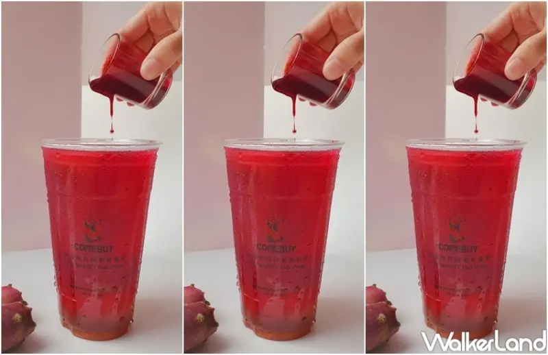 COMEBUY 仙人掌新品 / WalkerLand窩客島整理提供 未經許可，不得轉載