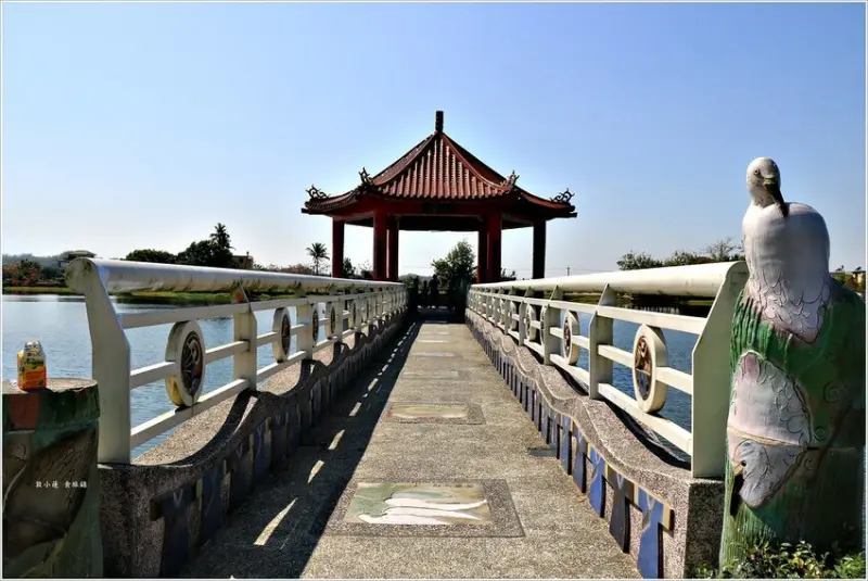  高雄冬季候鳥南遷觀賞點 #美濃湖/ WalkerLand窩客島整理提供 未經許可不可轉載