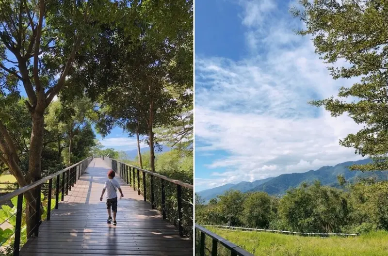 台東卑南景點推薦：台東原生植物園