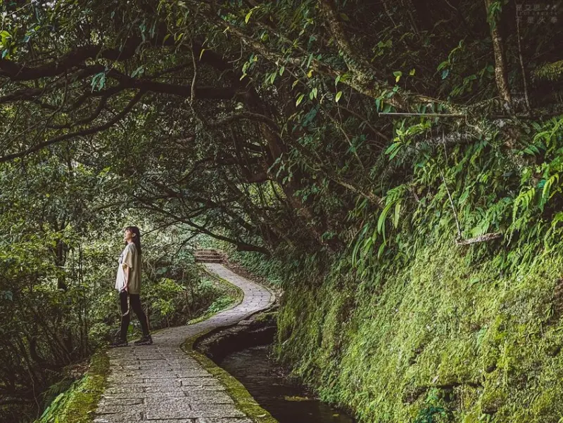坪頂古圳步道 /艾思，不是火拳。 提供