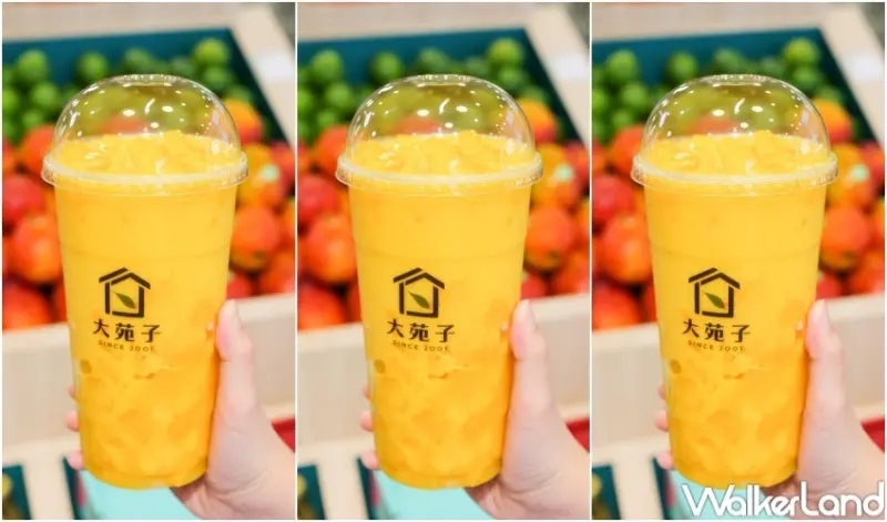 大苑子 愛文芒果冰沙最大杯 / WalkerLand窩客島提供 未經許可，不得轉載