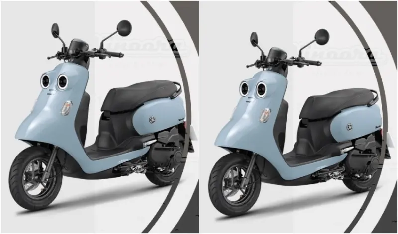 龜記5週年，環島送Vinoora / WalkerLand窩客島整理提供 未經許可，不得轉載