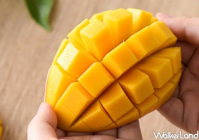 買一送一優惠整理 / WalkerLand窩客島整理提供 未經許可，不得轉載