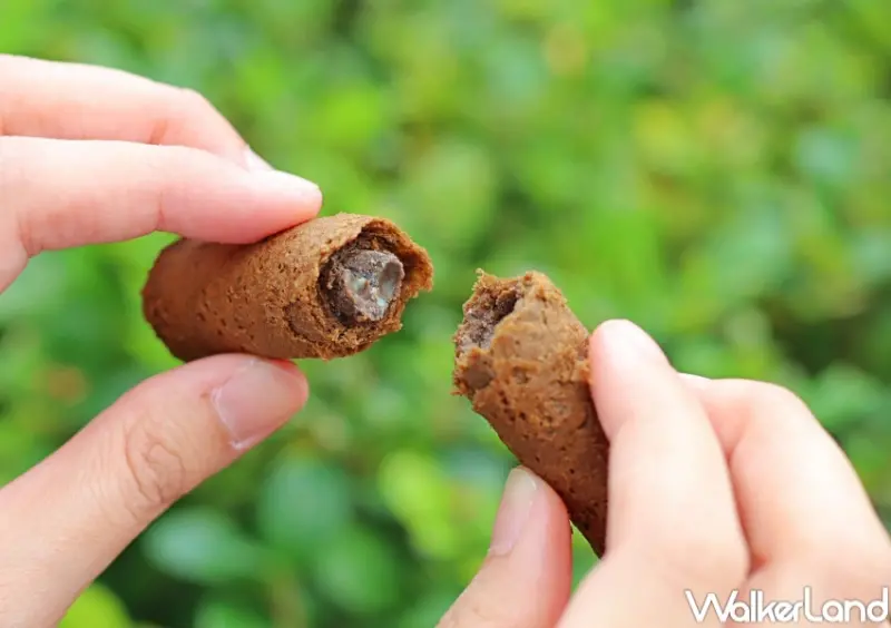 青鳥旅行 春水堂珍珠奶茶蛋捲禮盒 / WalkerLand窩客島整理提供 未經許可，不得轉載