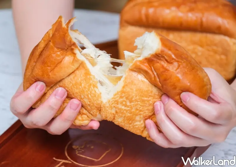 小鳥吃吐司 (蘆洲中山小鳥家) / WalkerLand窩客島整理提供 未經同意不可轉載