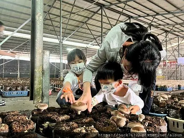 台中新社景點推薦：百菇莊 / WalkerLand窩客島整理提供 未經許可，不得轉載