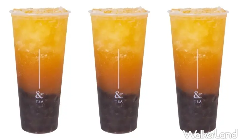 &TEA夏季新品 / WalkerLand窩客島整理提供 未經許可，不得轉載