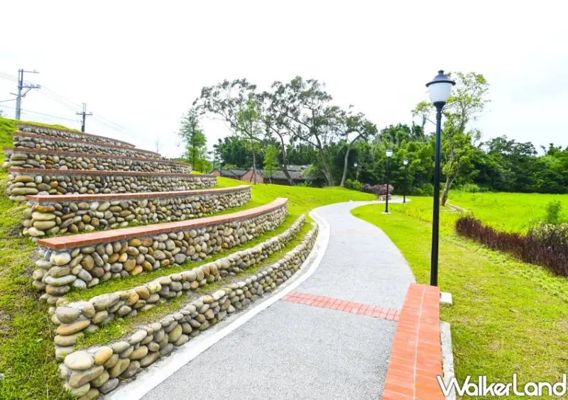 大溪「落羽松公園」 / WalkerLand窩客島整理提供 未經許可不可轉載