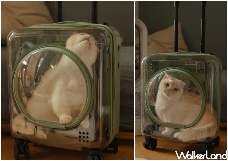 CROWN「透明寵物箱」 / WalkerLand窩客島整理提供 未經許可不可轉載