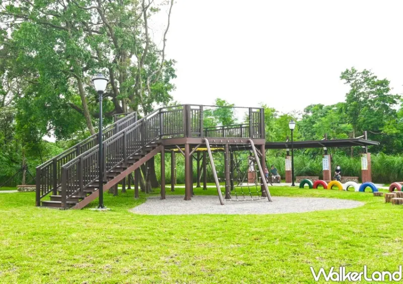 大溪「落羽松公園」 / WalkerLand窩客島整理提供 未經許可不可轉載