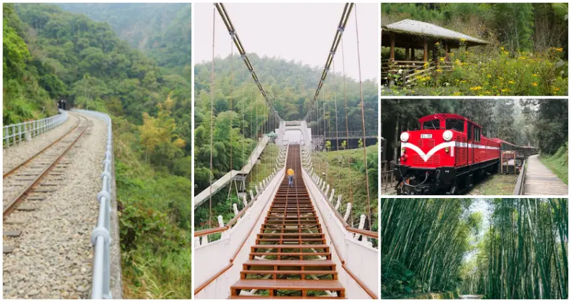 嘉義人不說的森林秘境！網美必訪9條「阿里山森林步道、景點」全攻略，帶你走入阿里山避暑勝地、感受大自然的沁涼。