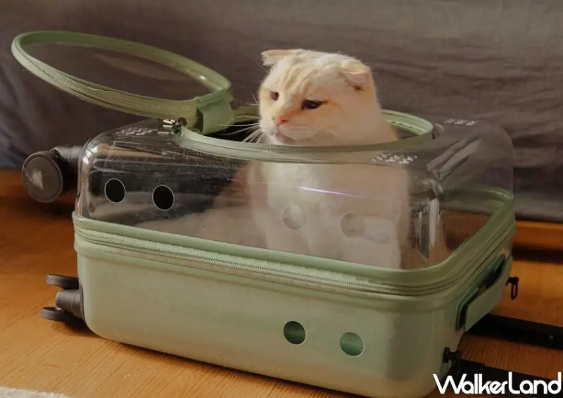 CROWN「透明寵物箱」 / WalkerLand窩客島整理提供 未經許可不可轉載
