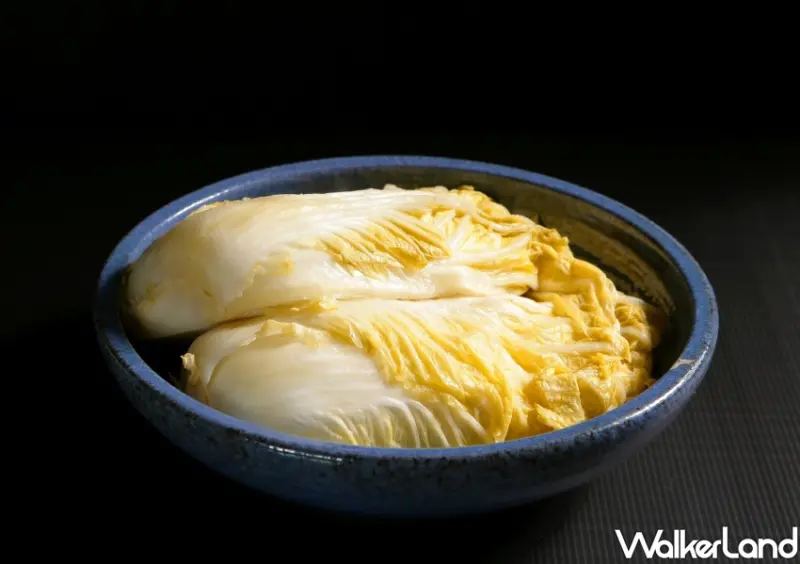 冬鄉小廚酸白菜鍋 / WalkerLand窩客島整理提供 未經許可不可轉載