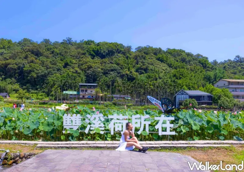 新北荷花季 / WalkerLand窩客島整理提供 未經許可不可轉載
