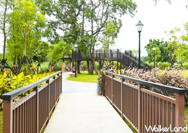 大溪「落羽松公園」 / WalkerLand窩客島整理提供 未經許可不可轉載