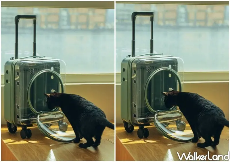 CROWN「透明寵物箱」 / WalkerLand窩客島整理提供 未經許可不可轉載