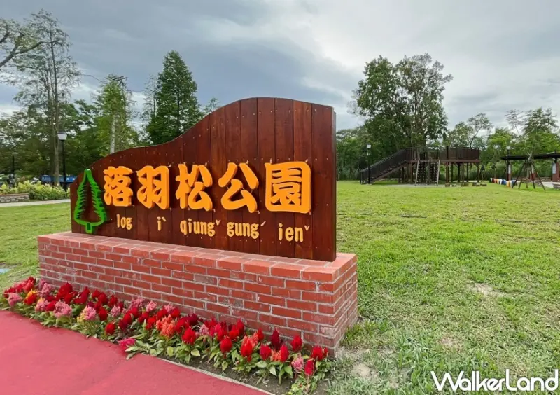 大溪「落羽松公園」 / WalkerLand窩客島整理提供 未經許可不可轉載