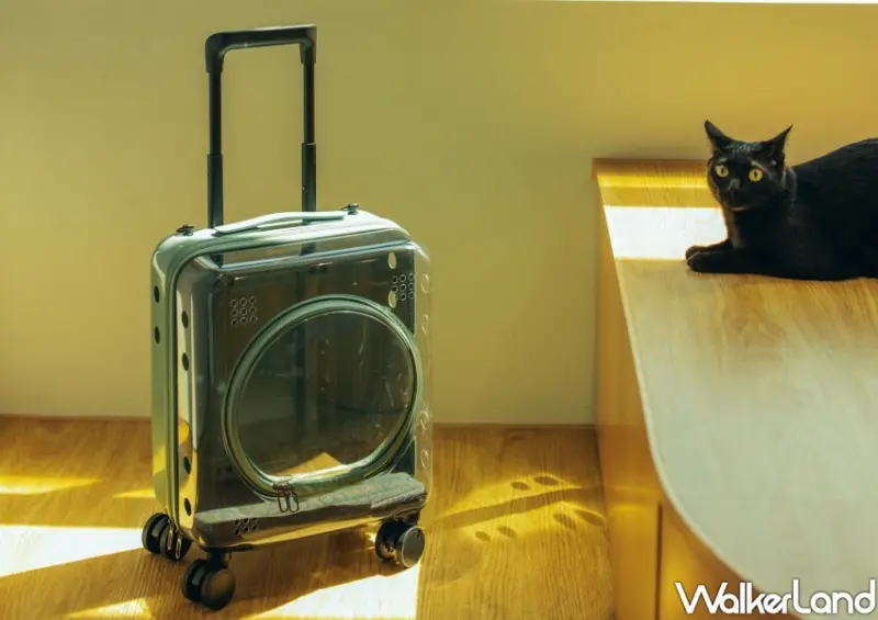 CROWN「透明寵物箱」 / WalkerLand窩客島整理提供 未經許可不可轉載