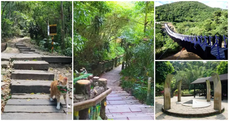 新手也能無痛挑戰！台北7條「新手登山步道」入門推薦，半小時攻頂「羽量級步道」、內湖秘境「純白吊橋步道」，帶著毛小孩走也沒問題。