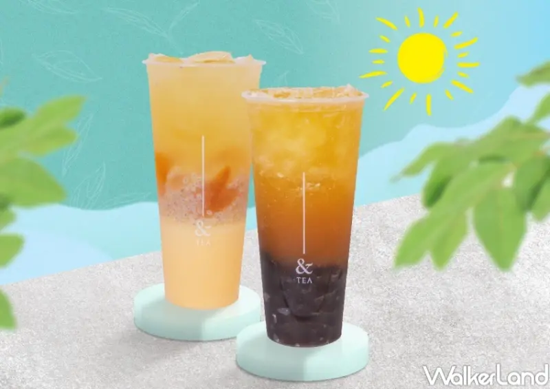 &TEA夏季新品 / WalkerLand窩客島整理提供 未經許可，不得轉載