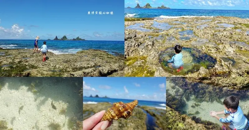 蘭嶼玩水秘境 ❙ 東清貝殼砂 ❙ 美到爆! 不用潛水就能見到漂亮的海底世界!