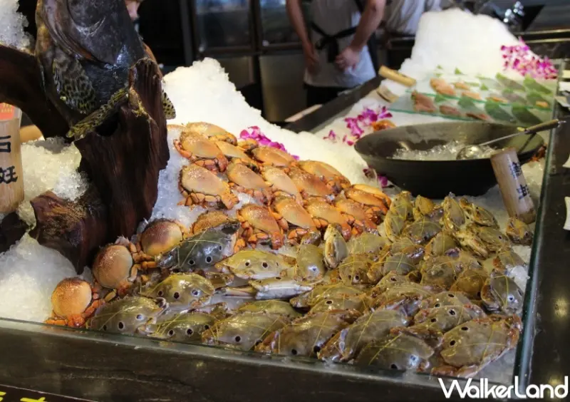 千葉火鍋 竹北店送龍蝦優惠 / WalkerLand窩客島整理提供 未經許可，不得轉載