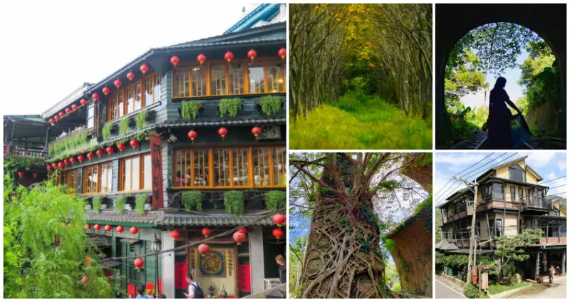 不出國就有宮崎駿場景！全台7個「宮崎駿景點」怒拍一波，療癒神秘「龍貓隧道」、激似魔法公主「秘境叢林」，一秒讓你置身吉卜力的奇幻世界。