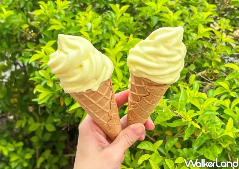 IKEA「榴槤霜淇淋」 / WalkerLand窩客島整理提供 未經許可不可轉載