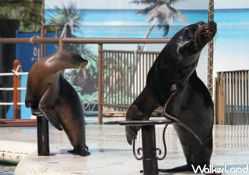 「有閑購物」5大遊樂園門票優惠 / WalkerLand窩客島整理提供 未經許可，不得轉載