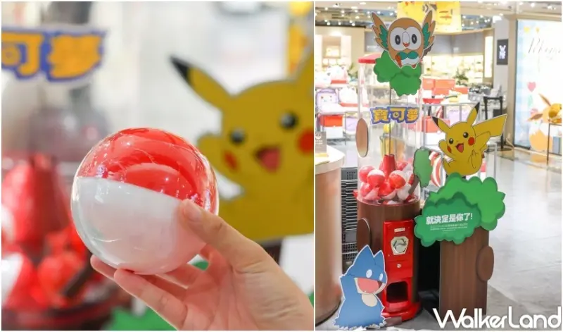 HOLA X Pokémon寶可夢系列新品 / WalkerLand窩客島提供 未經許可，不得轉載