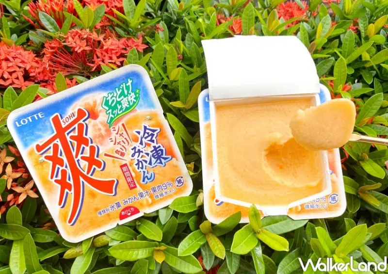 7-ELEVEN世界冰淇淋日優惠 / WalkerLand窩客島整理提供 未經許可，不得轉載