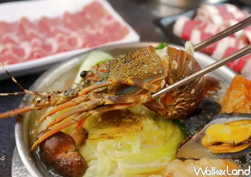 千葉火鍋 竹北店送龍蝦優惠 / WalkerLand窩客島整理提供 未經許可，不得轉載