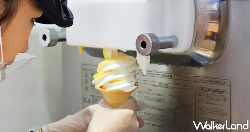 許慶良X大苑子三週年生日慶 / WalkerLand窩客島提供 未經許可，不得轉載