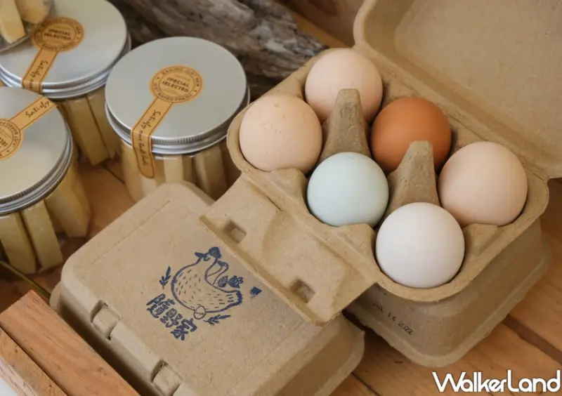 北投景點、市集「關渡那麼田」 / WalkerLand窩客島整理提供 未經許可不可轉載