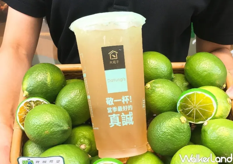 大苑子「歡聚分享月」優惠活動 / WalkerLand窩客島整理提供 未經許可，不得轉載