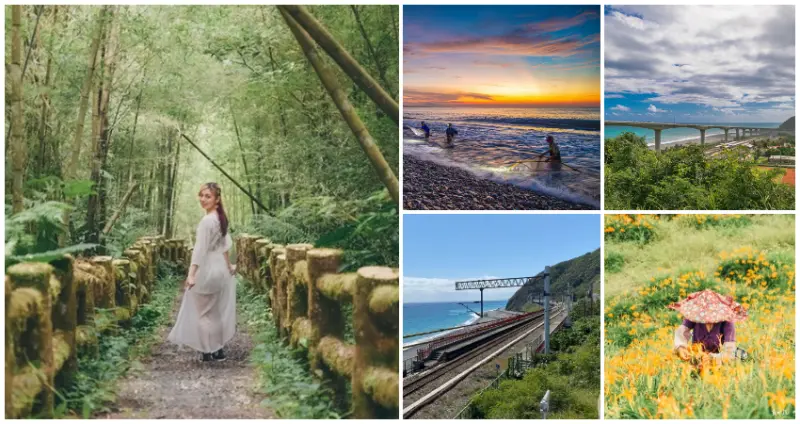 太麻里不只看日出！台東美翻天「7個太麻里景點」此生必去，清幽翠綠「孟宗竹林步道」、飽覽太平洋「最美高架橋」，台灣東南秘境全蒐羅。