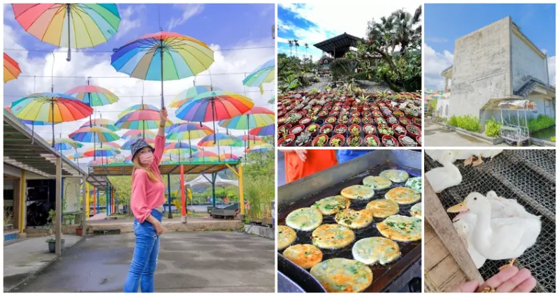 宜蘭不只水豚當家！7個超好玩「宜蘭特色農場」假日快衝，IG必拍「夢幻彩虹傘」、全台最美「清水模鴨舍」，讓你玩到不想回家。