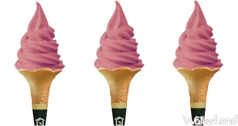 大苑子 葡萄新品 / WalkerLand窩客島整理提供 未經許可，不得轉載