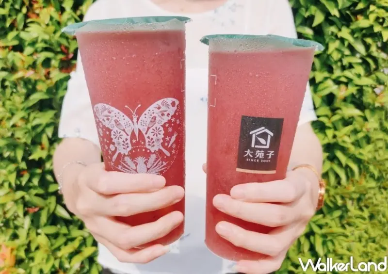 大苑子 葡萄新品 / WalkerLand窩客島整理提供 未經許可，不得轉載