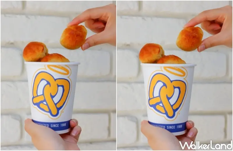 安緹安 黃金地瓜系列 / WalkerLand窩客島提供 未經許可，不得轉載