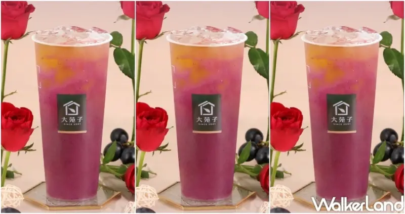 大苑子 葡萄新品 / WalkerLand窩客島整理提供 未經許可，不得轉載