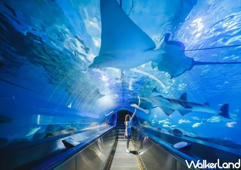 「有閑購物」5大遊樂園門票優惠 / WalkerLand窩客島整理提供 未經許可，不得轉載