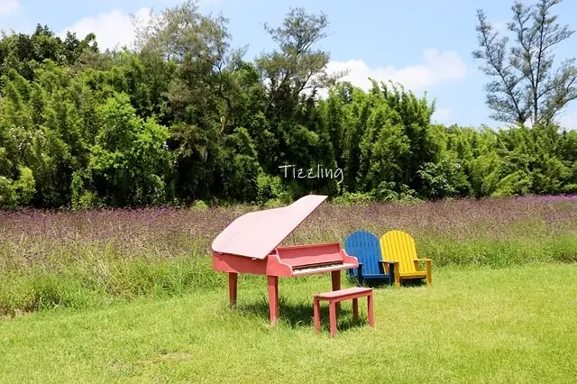  桃園觀音景點推薦： 青林農場/ WalkerLand窩客島整理提供 未經許可不可轉載